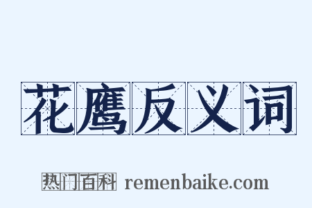 花鹰反义词是什么意思的图片